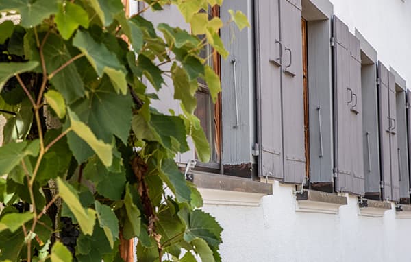 Le restaurant, vue d'ensemble